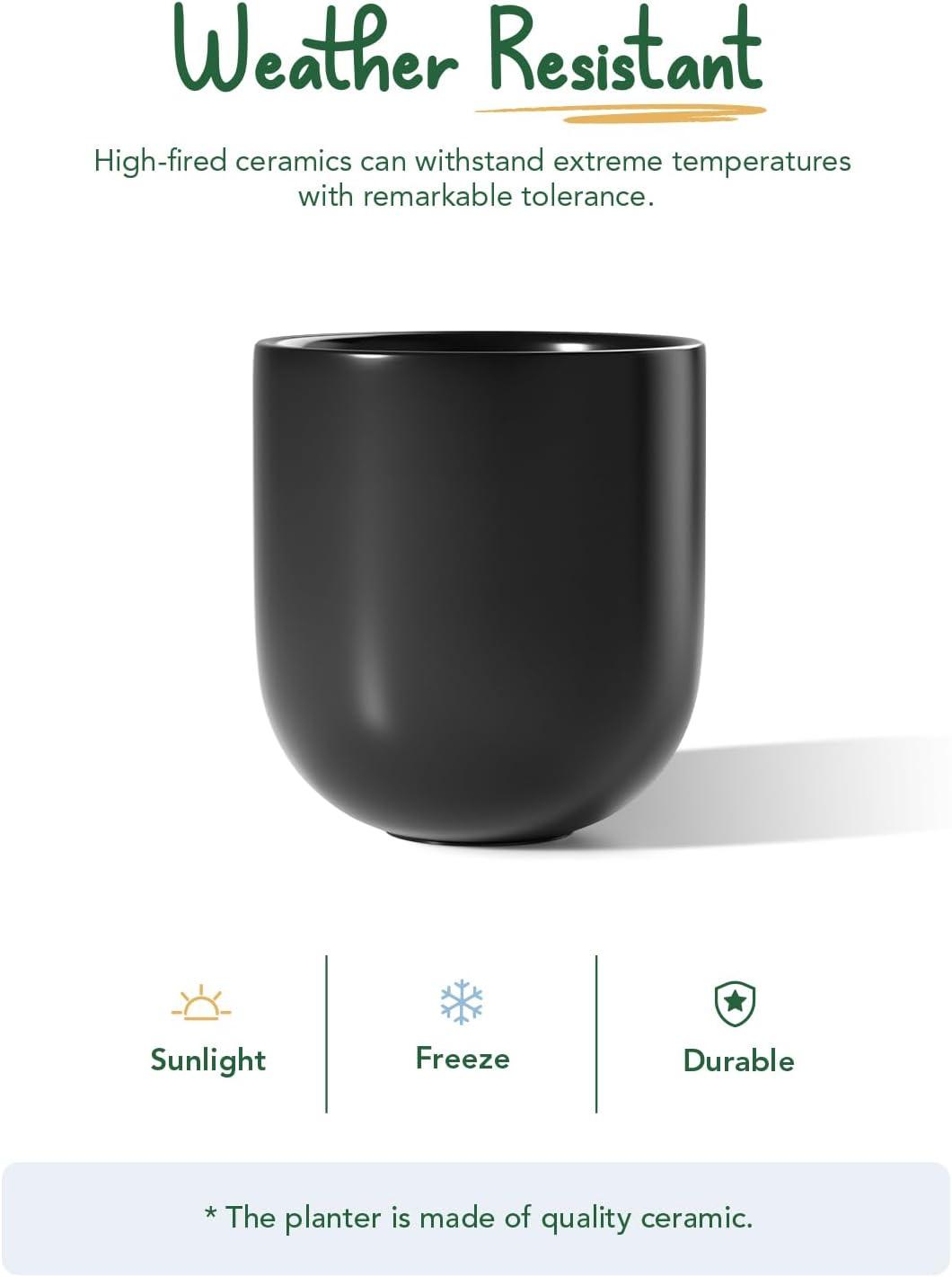 imageLE TAUCI 8 Inch Plant Pot Ceramic Pot with Drainage Hole ampamp Rubber Plug Indoor Planter for Herbs ampamp Small Houseplants Cylinder Planter for Home Office WhiteBlack