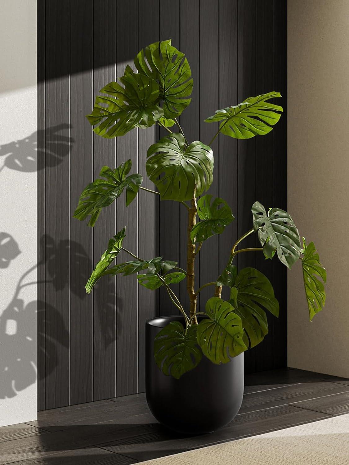 imageLE TAUCI 8 Inch Plant Pot Ceramic Pot with Drainage Hole ampamp Rubber Plug Indoor Planter for Herbs ampamp Small Houseplants Cylinder Planter for Home Office WhiteBlack