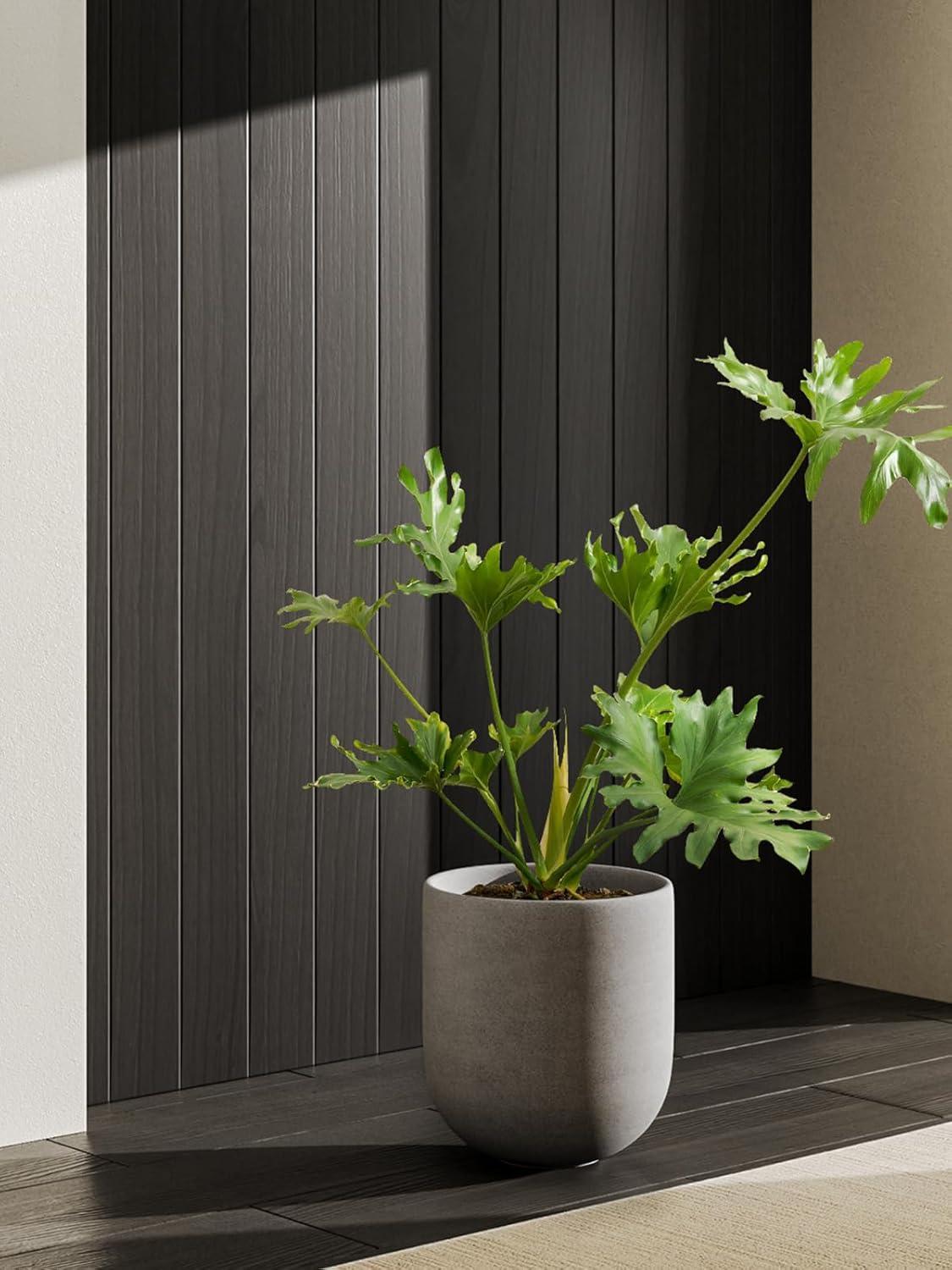 imageLE TAUCI 8 Inch Plant Pot Ceramic Pot with Drainage Hole ampamp Rubber Plug Indoor Planter for Herbs ampamp Small Houseplants Cylinder Planter for Home Office WhiteNeutral Gray