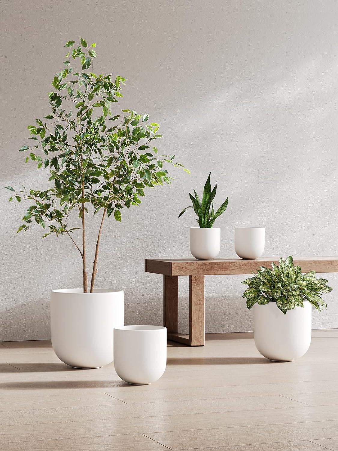 imageLE TAUCI 8 Inch Plant Pot Ceramic Pot with Drainage Hole ampamp Rubber Plug Indoor Planter for Herbs ampamp Small Houseplants Cylinder Planter for Home Office WhiteWhite