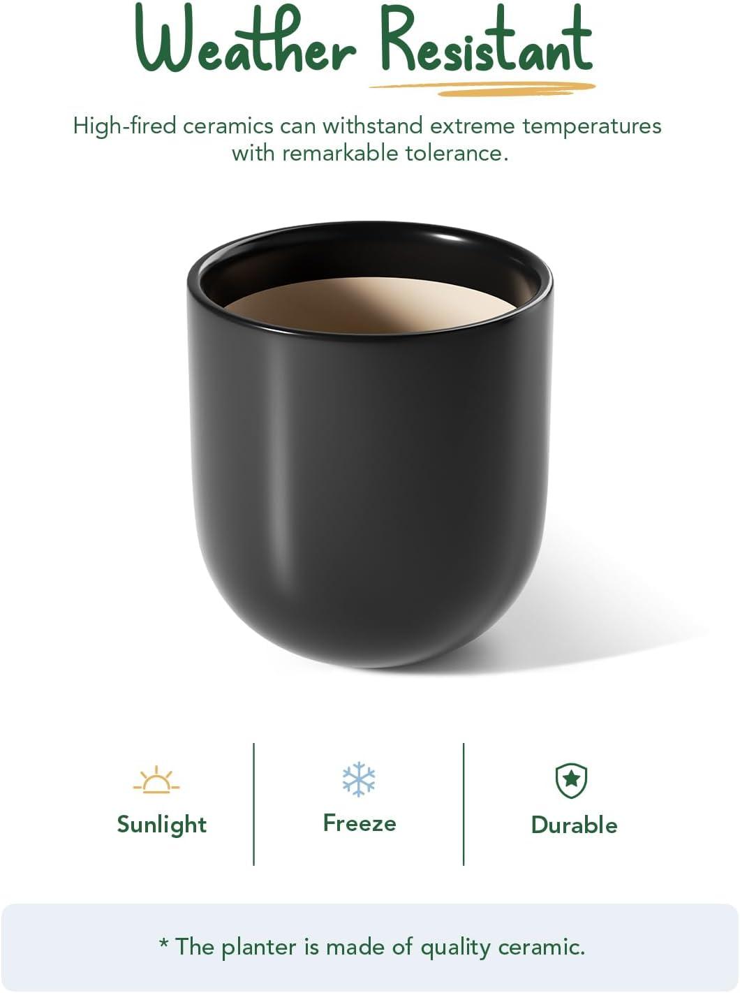 imageLE TAUCI 8 Inch Plant Pot Ceramic Pot with Drainage Hole ampamp Rubber Plug Indoor Planter for Herbs ampamp Small Houseplants Cylinder Planter for Home Office WhiteBlack