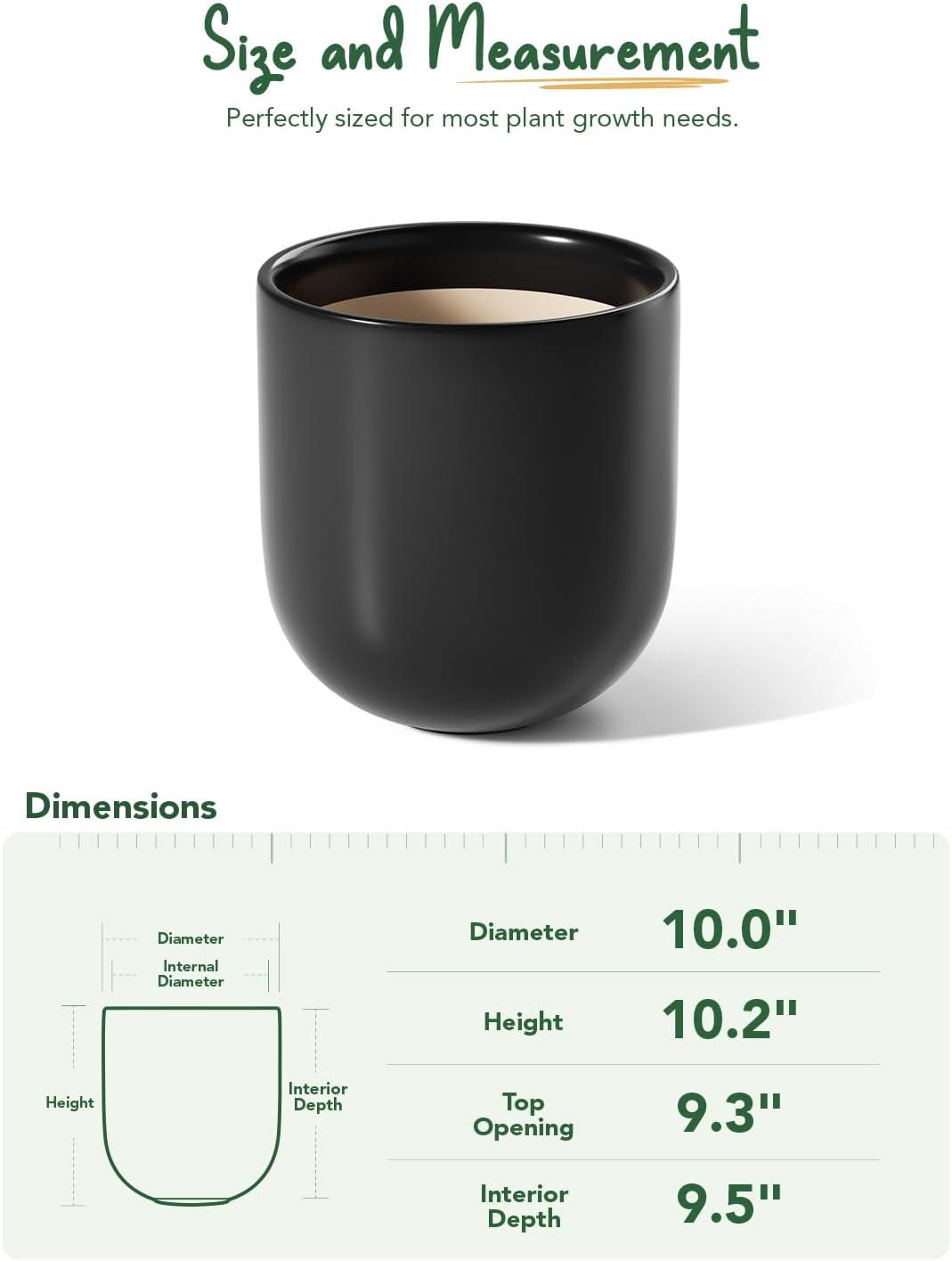 imageLE TAUCI 8 Inch Plant Pot Ceramic Pot with Drainage Hole ampamp Rubber Plug Indoor Planter for Herbs ampamp Small Houseplants Cylinder Planter for Home Office WhiteBlack