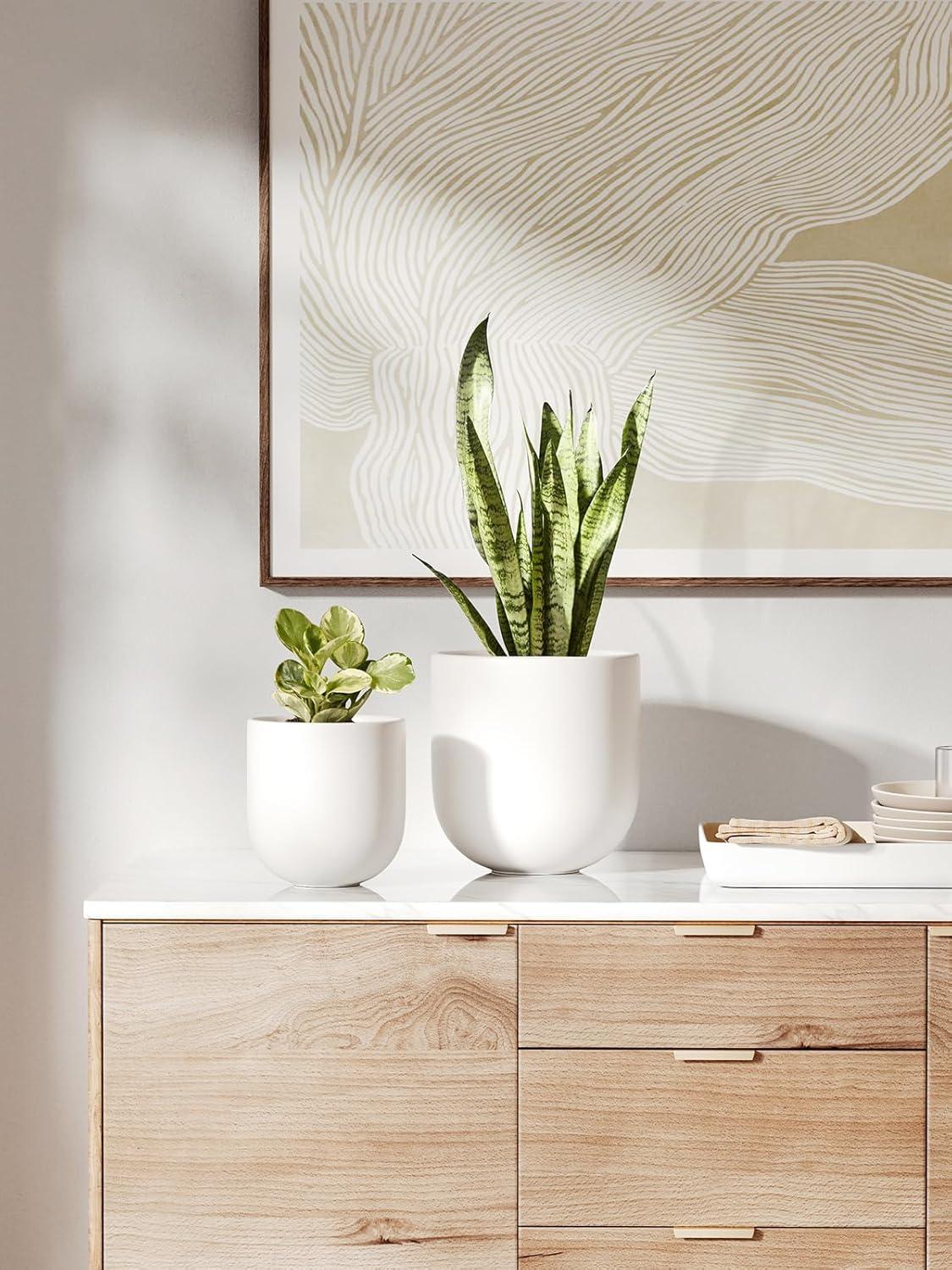 imageLE TAUCI 8 Inch Plant Pot Ceramic Pot with Drainage Hole ampamp Rubber Plug Indoor Planter for Herbs ampamp Small Houseplants Cylinder Planter for Home Office WhiteWhite