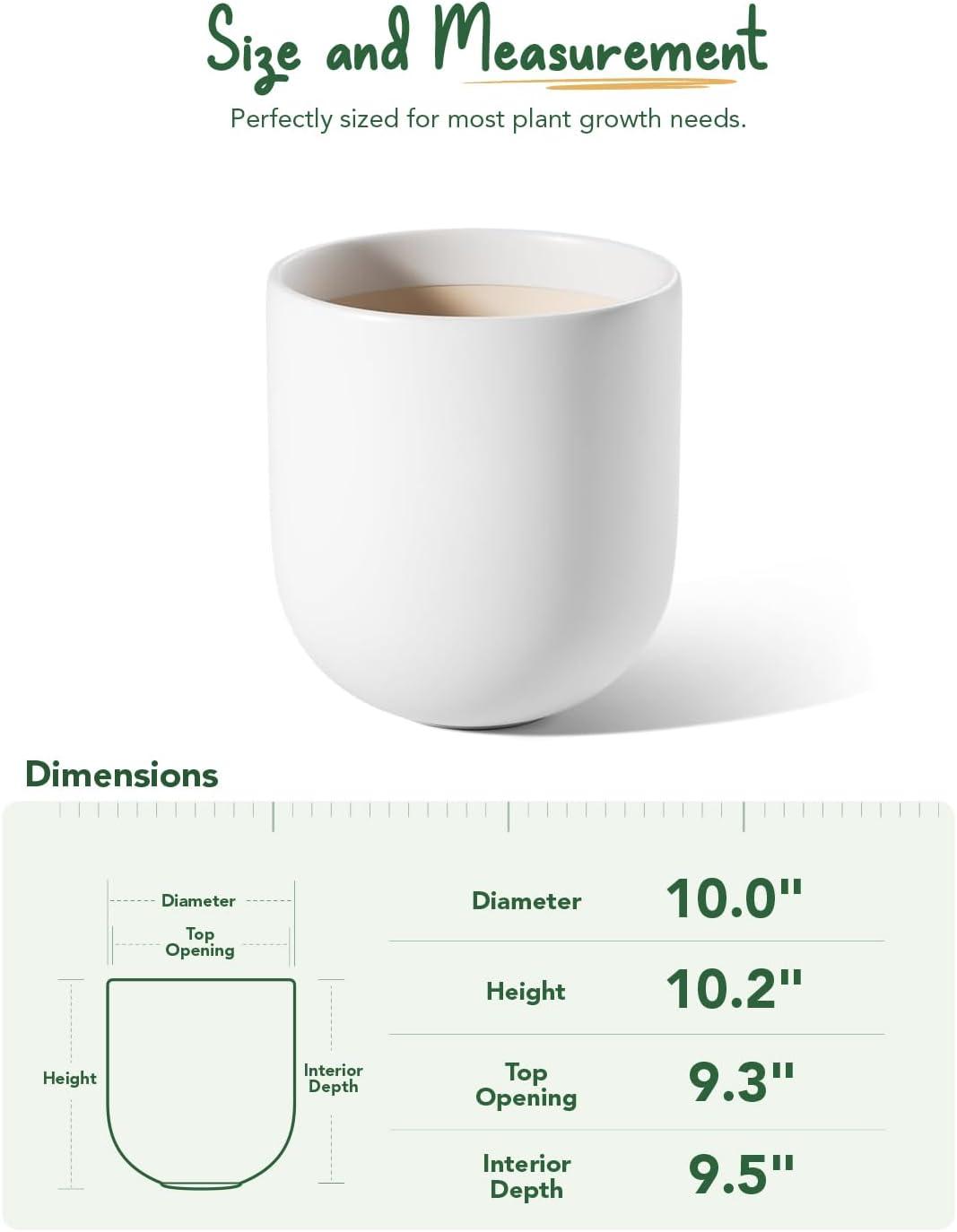 imageLE TAUCI 8 Inch Plant Pot Ceramic Pot with Drainage Hole ampamp Rubber Plug Indoor Planter for Herbs ampamp Small Houseplants Cylinder Planter for Home Office WhiteWhite