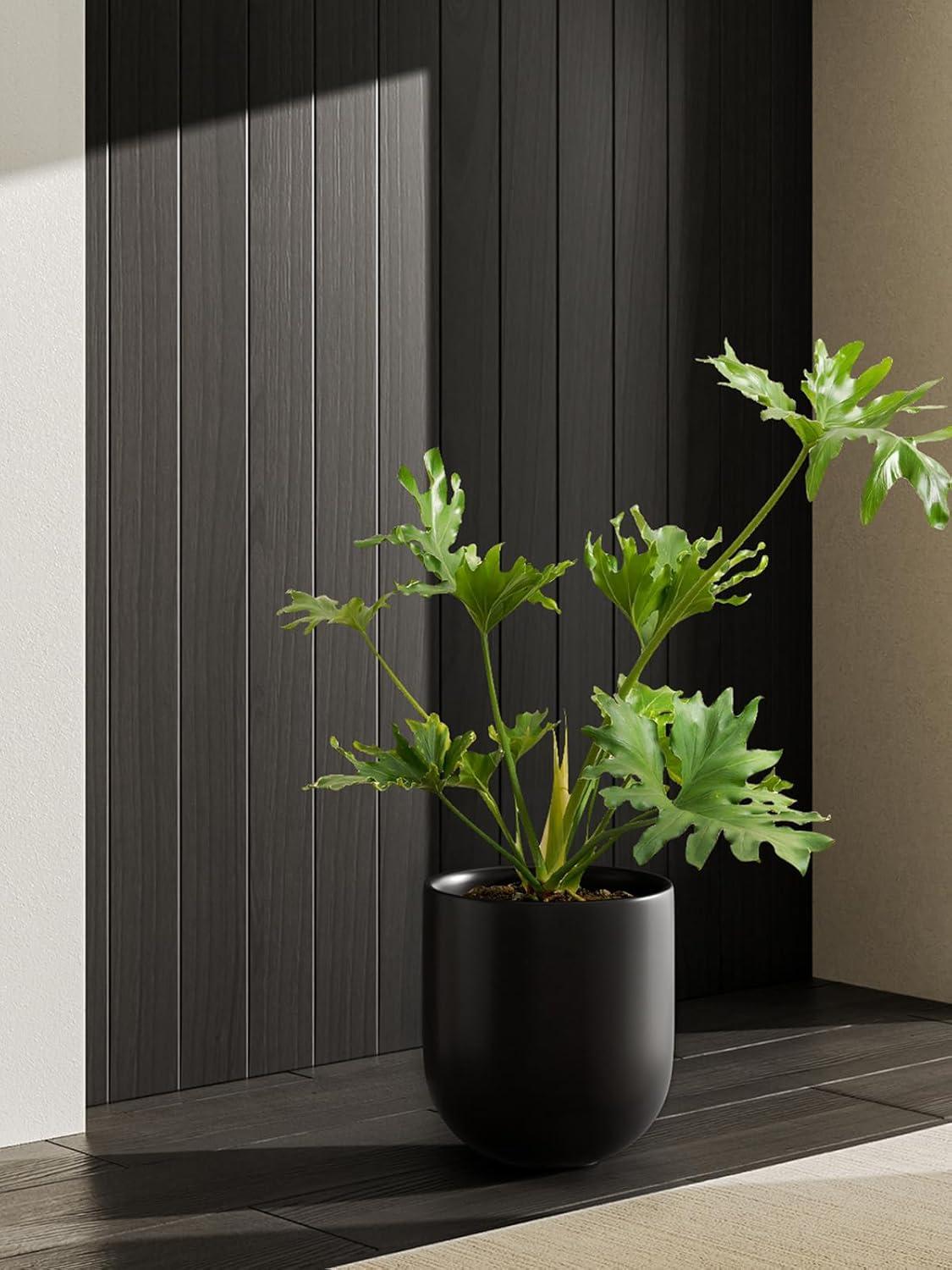 imageLE TAUCI 8 Inch Plant Pot Ceramic Pot with Drainage Hole ampamp Rubber Plug Indoor Planter for Herbs ampamp Small Houseplants Cylinder Planter for Home Office WhiteBlack