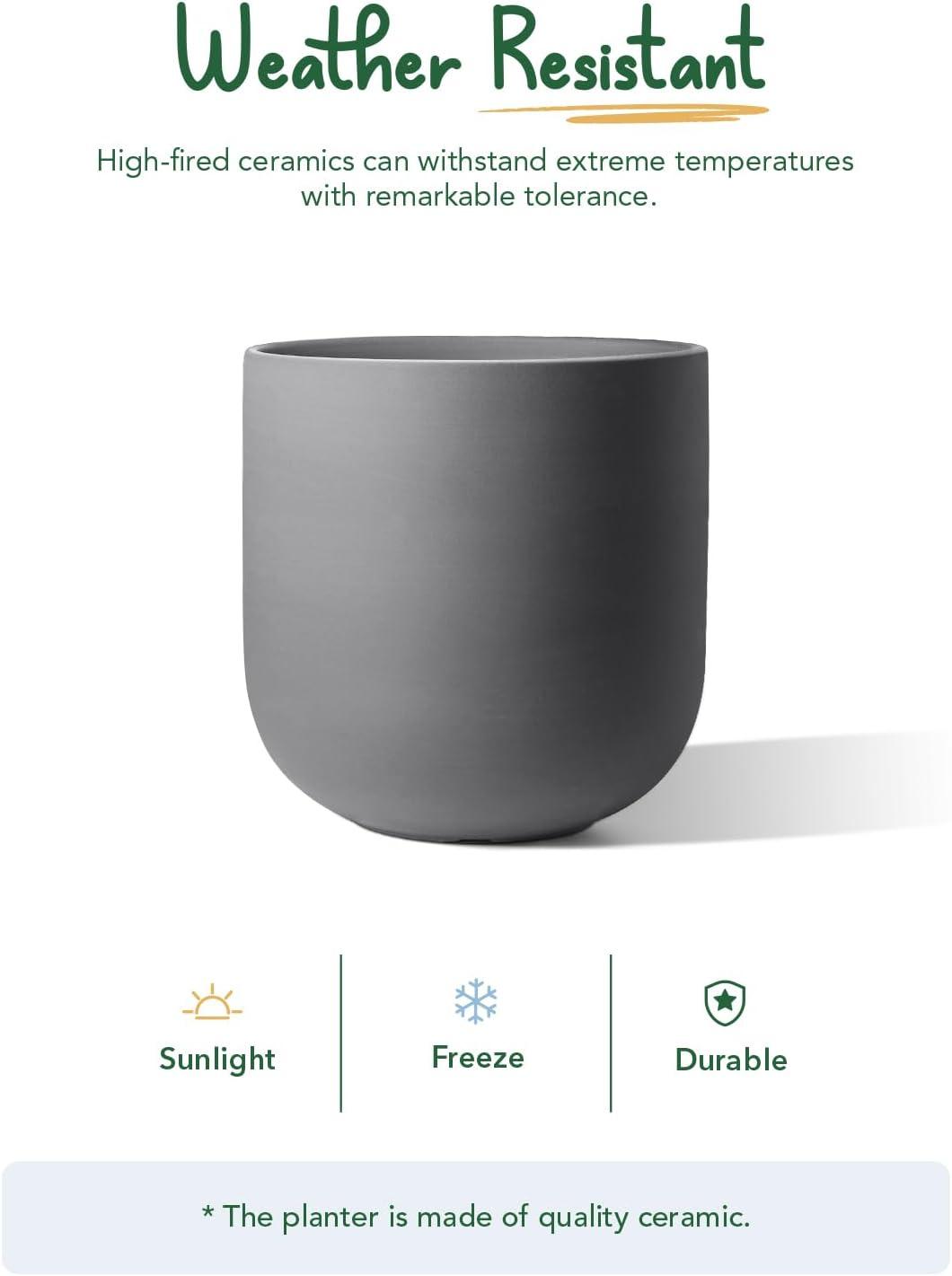 imageLE TAUCI 8 Inch Plant Pot Ceramic Pot with Drainage Hole ampamp Rubber Plug Indoor Planter for Herbs ampamp Small Houseplants Cylinder Planter for Home Office WhiteCharcoal Gray