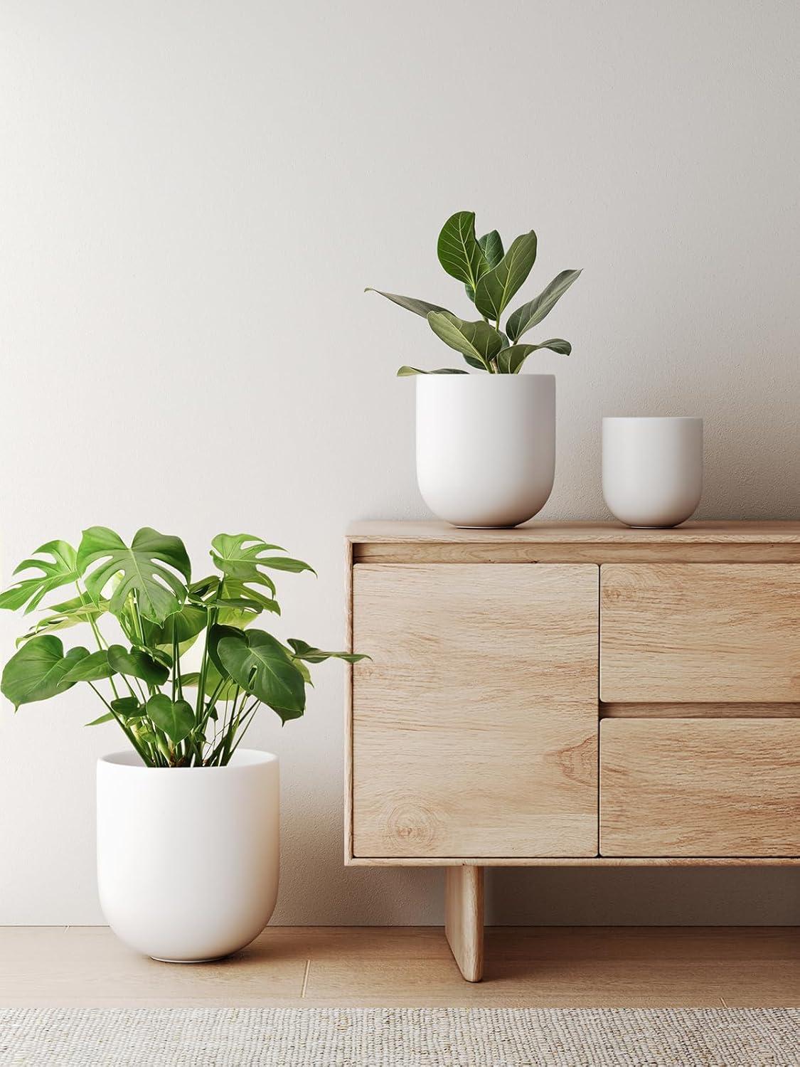 imageLE TAUCI 8 Inch Plant Pot Ceramic Pot with Drainage Hole ampamp Rubber Plug Indoor Planter for Herbs ampamp Small Houseplants Cylinder Planter for Home Office WhiteWhite