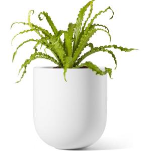 imageLE TAUCI 8 Inch Plant Pot Ceramic Pot with Drainage Hole ampamp Rubber Plug Indoor Planter for Herbs ampamp Small Houseplants Cylinder Planter for Home Office WhiteWhite