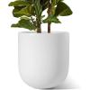 image:imageLE TAUCI 8 Inch Plant Pot Ceramic Pot with Drainage Hole amp Rubber Plug Indoor Planter for Herbs amp Small Houseplants Cylinder Planter for Home Office Neutral GrayWhite