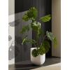 image:imageLE TAUCI 8 Inch Plant Pot Ceramic Pot with Drainage Hole amp Rubber Plug Indoor Planter for Herbs amp Small Houseplants Cylinder Planter for Home Office Neutral GrayWhite