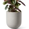 image:imageLE TAUCI 8 Inch Plant Pot Ceramic Pot with Drainage Hole amp Rubber Plug Indoor Planter for Herbs amp Small Houseplants Cylinder Planter for Home Office Neutral GrayNeutral Gray