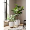 image:imageLE TAUCI 8 Inch Plant Pot Ceramic Pot with Drainage Hole amp Rubber Plug Indoor Planter for Herbs amp Small Houseplants Cylinder Planter for Home Office Neutral GrayWhite