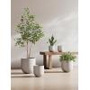image:imageLE TAUCI 8 Inch Plant Pot Ceramic Pot with Drainage Hole amp Rubber Plug Indoor Planter for Herbs amp Small Houseplants Cylinder Planter for Home Office Neutral GrayNeutral Gray