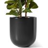 image:imageLE TAUCI 8 Inch Plant Pot Ceramic Pot with Drainage Hole amp Rubber Plug Indoor Planter for Herbs amp Small Houseplants Cylinder Planter for Home Office Neutral GrayBlack