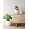 image:imageLE TAUCI 8 Inch Plant Pot Ceramic Pot with Drainage Hole amp Rubber Plug Indoor Planter for Herbs amp Small Houseplants Cylinder Planter for Home Office Neutral GrayWhite