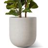 image:imageLE TAUCI 8 Inch Plant Pot Ceramic Pot with Drainage Hole amp Rubber Plug Indoor Planter for Herbs amp Small Houseplants Cylinder Planter for Home Office Neutral GrayNeutral Gray