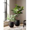image:imageLE TAUCI 8 Inch Plant Pot Ceramic Pot with Drainage Hole amp Rubber Plug Indoor Planter for Herbs amp Small Houseplants Cylinder Planter for Home Office Neutral GrayBlack