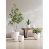 image:imageLE TAUCI 8 Inch Plant Pot Ceramic Pot with Drainage Hole amp Rubber Plug Indoor Planter for Herbs amp Small Houseplants Cylinder Planter for Home Office Neutral GrayWhite
