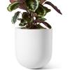 image:imageLE TAUCI 8 Inch Plant Pot Ceramic Pot with Drainage Hole amp Rubber Plug Indoor Planter for Herbs amp Small Houseplants Cylinder Planter for Home Office Neutral GrayWhite