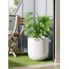 image:imageLE TAUCI 8 Inch Plant Pot Ceramic Pot with Drainage Hole amp Rubber Plug Indoor Planter for Herbs amp Small Houseplants Cylinder Planter for Home Office Neutral GrayWhite