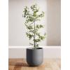 image:imageLE TAUCI 8 Inch Plant Pot Ceramic Pot with Drainage Hole amp Rubber Plug Indoor Planter for Herbs amp Small Houseplants Cylinder Planter for Home Office Neutral GrayCharcoal Gray