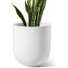 image:imageLE TAUCI 8 Inch Plant Pot Ceramic Pot with Drainage Hole amp Rubber Plug Indoor Planter for Herbs amp Small Houseplants Cylinder Planter for Home Office Neutral GrayWhite