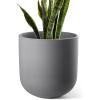 image:imageLE TAUCI 8 Inch Plant Pot Ceramic Pot with Drainage Hole amp Rubber Plug Indoor Planter for Herbs amp Small Houseplants Cylinder Planter for Home Office Neutral GrayCharcoal Gray
