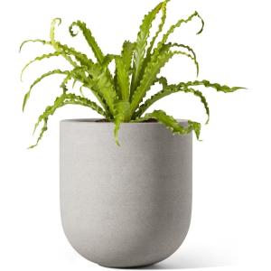 image:imageLE TAUCI 8 Inch Plant Pot Ceramic Pot with Drainage Hole amp Rubber Plug Indoor Planter for Herbs amp Small Houseplants Cylinder Planter for Home Office Neutral GrayNeutral Gray