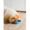 image:imageLE TAUCI Ceramic Slow Feeder Dog Bowls Elevated 3 Cup Raised Bowl with Wooden Stand for Medium Large Breed Slow Down Eating Puzzle Dog Food Bowl Star YellowVortex Blue