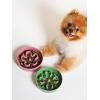 image:imageLE TAUCI Ceramic Slow Feeder Dog Bowls Elevated 3 Cup Raised Bowl with Wooden Stand for Medium Large Breed Slow Down Eating Puzzle Dog Food Bowl Star YellowClover Green