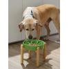 image:imageLE TAUCI Ceramic Slow Feeder Dog Bowls Elevated 3 Cup Raised Bowl with Wooden Stand for Medium Large Breed Slow Down Eating Puzzle Dog Food Bowl Star YellowClover GreenStand