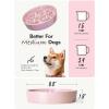 image:imageLE TAUCI Ceramic Slow Feeder Dog Bowls Elevated 3 Cup Raised Bowl with Wooden Stand for Medium Large Breed Slow Down Eating Puzzle Dog Food BowlSkull BlackSakura Pink