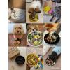 image:imageLE TAUCI Ceramic Slow Feeder Dog Bowls Elevated 3 Cup Raised Bowl with Wooden Stand for Medium Large Breed Slow Down Eating Puzzle Dog Food BowlSkull BlackSkull BlackStand