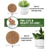 image:imageLE TAUCI Coconut Coir Drainage Mesh Pads for Flower Pots PreCut 2 Inch Pot Hole Covers to Prevent Soil Loss Natural Coir Fiber Liners for Indoor amp Outdoor Planters 20 Pack10