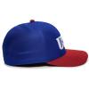 imageUSA Embroidered OneTouch Hat  Proflex Baseball Cap for Men ampamp Women