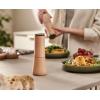 imageJoseph Joseph Milltop SetEditions Sage Salt ampamp Pepper Mill 000 GreenBeech Wood