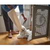 imageJoseph Joseph Tota Trio 90liter Laundry Hamper Separation Basket with Lid and Removable Bags  BlackEcru