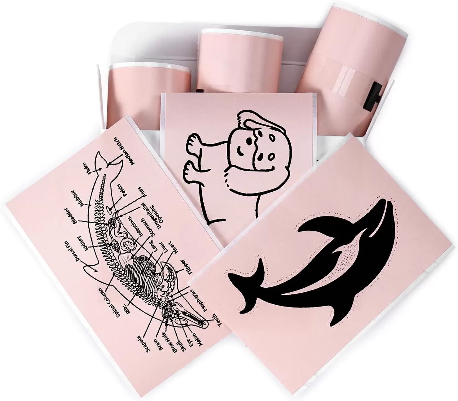 imageMemoking T02  M02X  M02L Sticker Paper  Pink Sticky T02 Mini Printer Sticker Paper Refill 50 mm x 35 m Keep for 20 yrs for Journal Photo Study Notes 3 Rolls