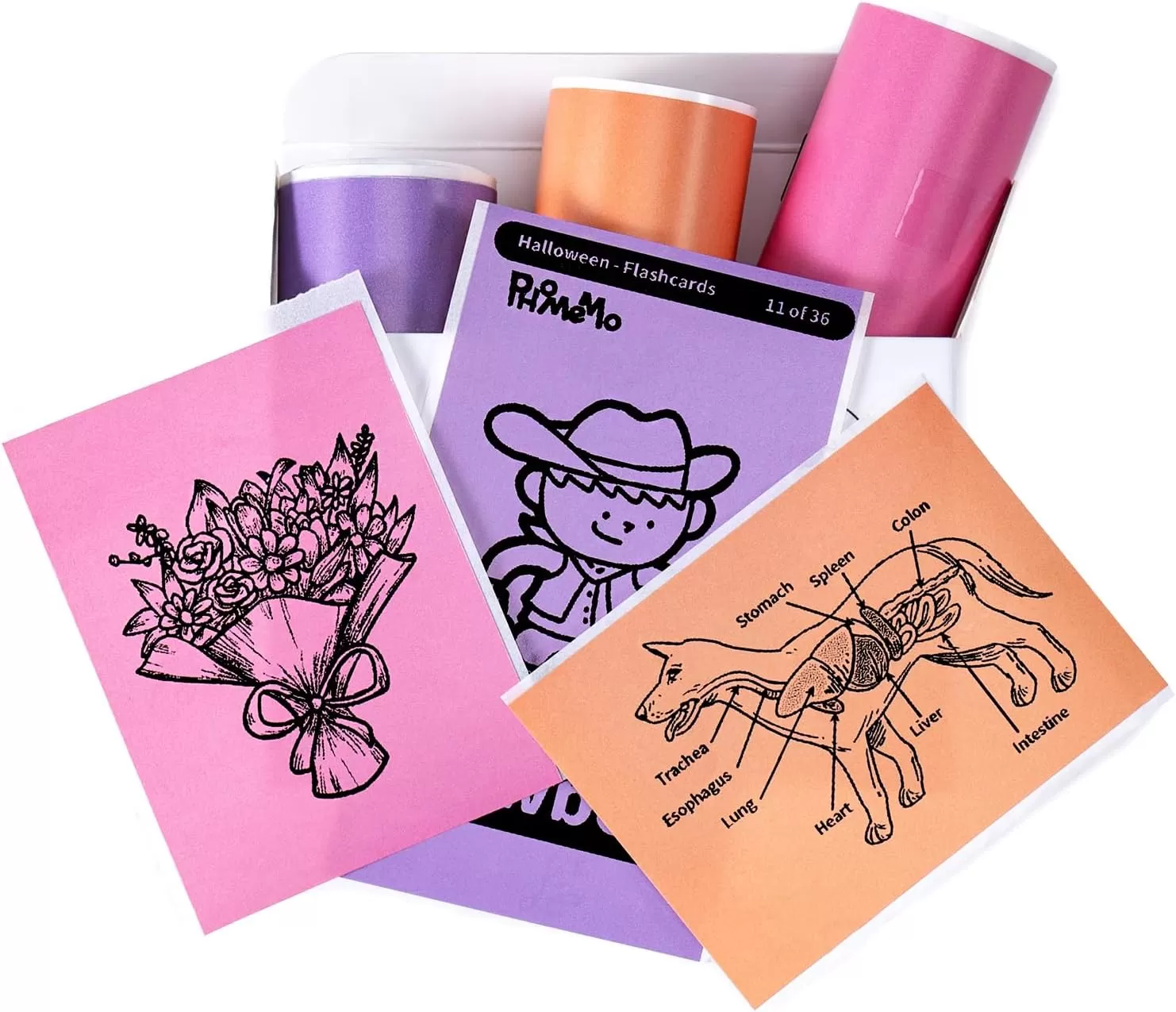 imageMemoking T02  M02X  M02L Sticker Paper  PurpleRose RedOrange Sticky T02 Mini Printer Sticker Paper Refill 50 mm x 35 m Keep for 20 yrs for Journal Photo Study Notes 3 Rolls
