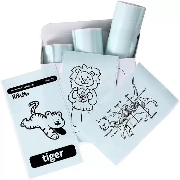 imageMemoking T02  M02X  M02L Sticker Paper  Light Green Sticky T02 Mini Printer Sticker Paper Refill 50 mm x 35 m Keep for 20 yrs for Journal Photo Study Notes 3 Rolls