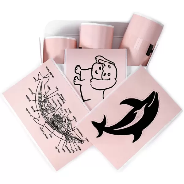 imageMemoking T02  M02X  M02L Sticker Paper  Pink Sticky T02 Mini Printer Sticker Paper Refill 50 mm x 35 m Keep for 20 yrs for Journal Photo Study Notes 3 Rolls