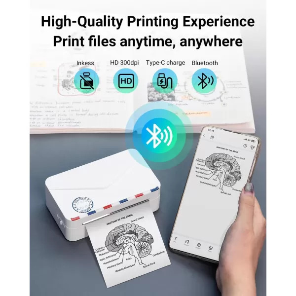 imageMemoking Mini Sticker Printer  300dpi M03AS Thermal Portable Mini Printer Bluetooth Inkless Pocket Printer for Phone Sticky Note Printer for Study Notes Memo DIY Photos Label