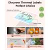 imageM110 Thermal Labels  for M100M110M220M160M221M150 M250M260 Printer Compatible with Phomemo Labels 196quot50mm Colorful Circle Sticker Paper for DIY Design QR Code Thanks Card AddressSilver
