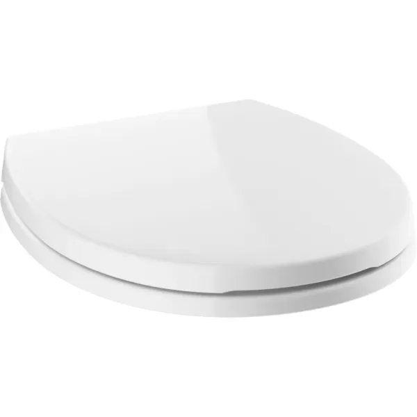imageDELTA FAUCET Morgan Round Front SlowClose White Toilet Seat with NonSlip Seat Bumpers White 801903WHSlow Close