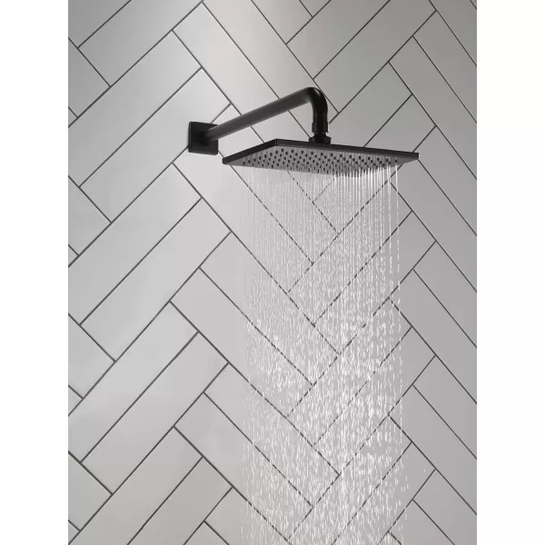 imageDELTA FAUCET RP62955SSPR Universal Shower Head Lumicoat StainlessMatte Black