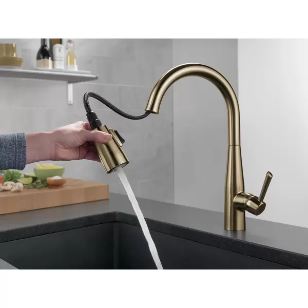 imageDelta Faucet Essa VoiceIQ Touchless Kitchen Faucets with Pull Down Sprayer Smart Faucet Alexa and Google Assistant Voice Activated Kitchen Sink Faucet Matte Black 9113TVBLDSTChampagne Bronze