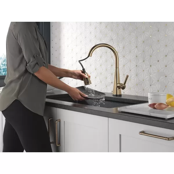imageDelta Faucet Lenta Voice Touchless Kitchen Faucet Black with Pull Down Sprayer Smart Faucet Alexa and Google Assistant Voice Activated Kitchen Sink Faucet Matte BlackChampagne Bronze
