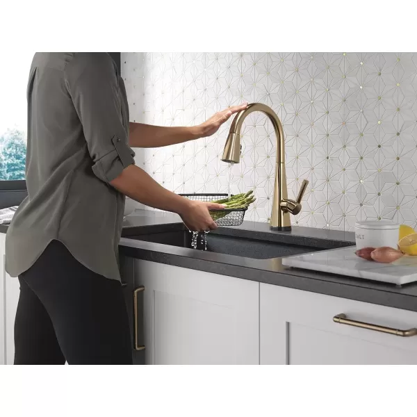 imageDelta Faucet Lenta Voice Touchless Kitchen Faucet Black with Pull Down Sprayer Smart Faucet Alexa and Google Assistant Voice Activated Kitchen Sink Faucet Matte BlackChampagne Bronze