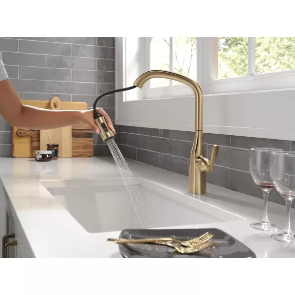imageDelta Faucet Stryke VoiceIQ Touchless Kitchen Faucet with Pull Down Sprayer Smart Faucet Alexa and Google Assistant Voice Activated Kitchen Sink Faucet Lumicoat Arctic Stainless 9176TVARDSTLumicoat Champagne Bronze