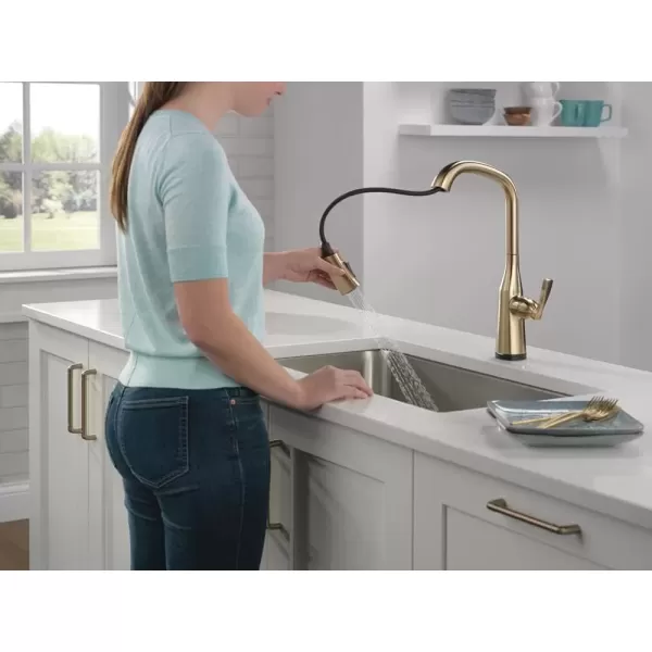 imageDelta Faucet Stryke VoiceIQ Touchless Kitchen Faucet with Pull Down Sprayer Smart Faucet Alexa and Google Assistant Voice Activated Kitchen Sink Faucet Lumicoat Arctic Stainless 9176TVARDSTLumicoat Champagne Bronze